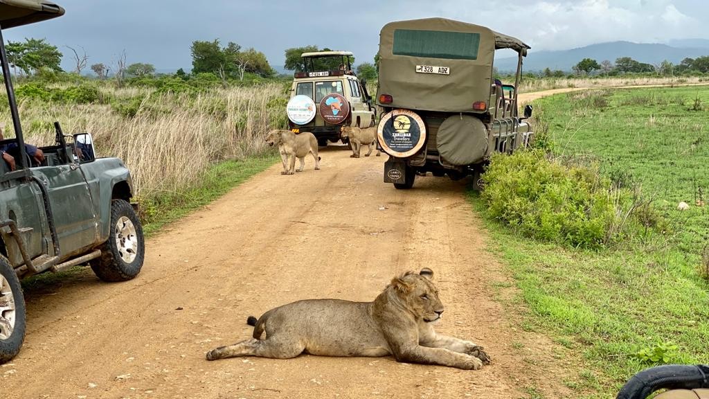 Tanzania: safari w Parku Narodowym Mikumi